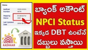 Aadhar Bank Link Status